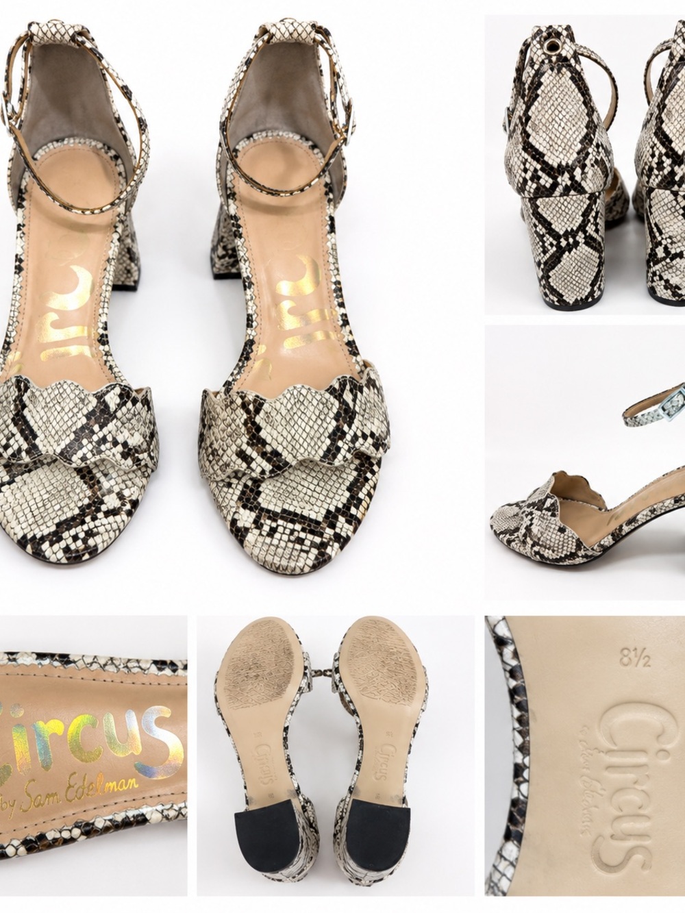 Circus by Sam Edelman Snake-Print Ankle-Strap Sandals in Black and Cream